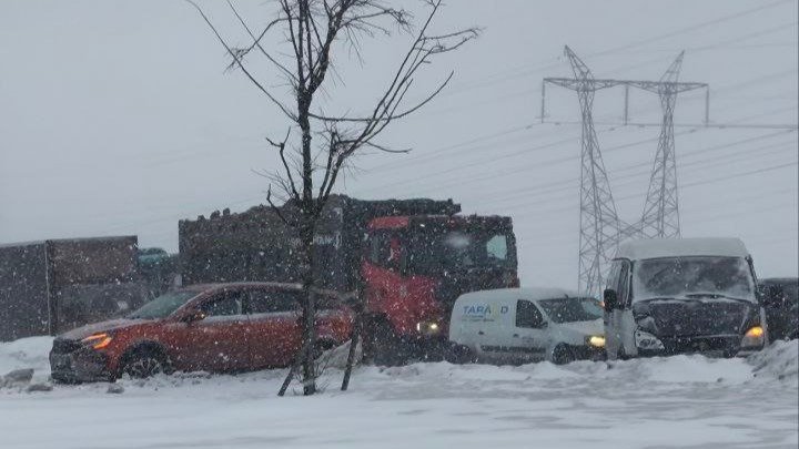 Фото: «Мегаполис»