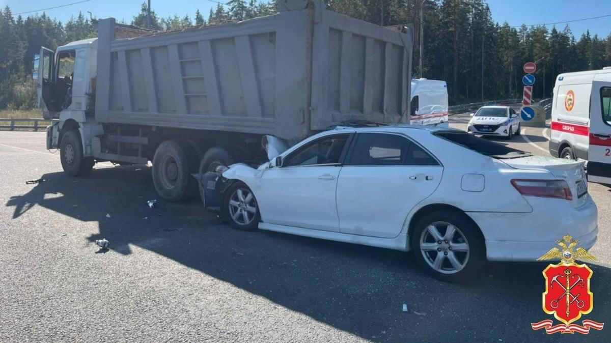 Фото: ГУ МВД РФ по Петербургу и Ленобласти