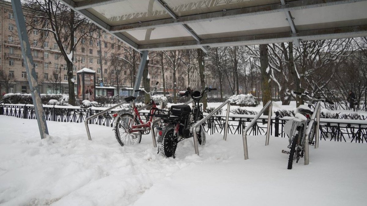 Фото: Павел Борисенко / MR7