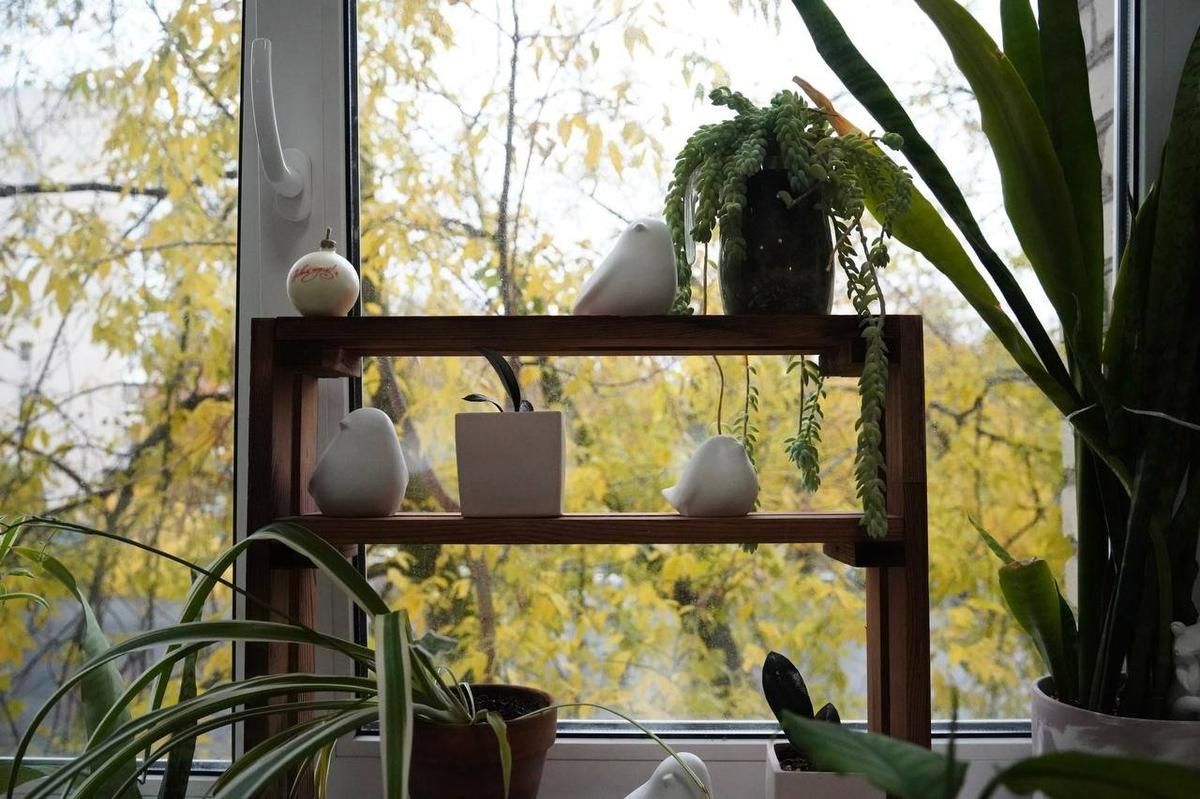 Фото: Павел Борисенко / MR7