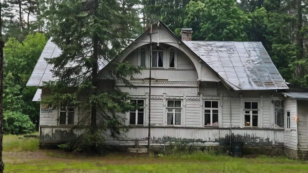 Фото: администрация Петербурга