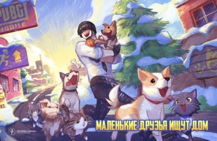 Барсик и Шиммер из приюта «Преданного сердца» стали героями компьютерной игры