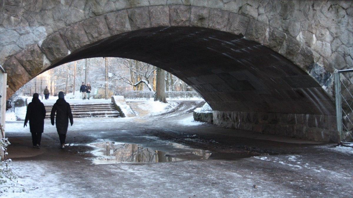 Белый снег, серый лед: последствия заморозков в Удельном парке и окрестностях