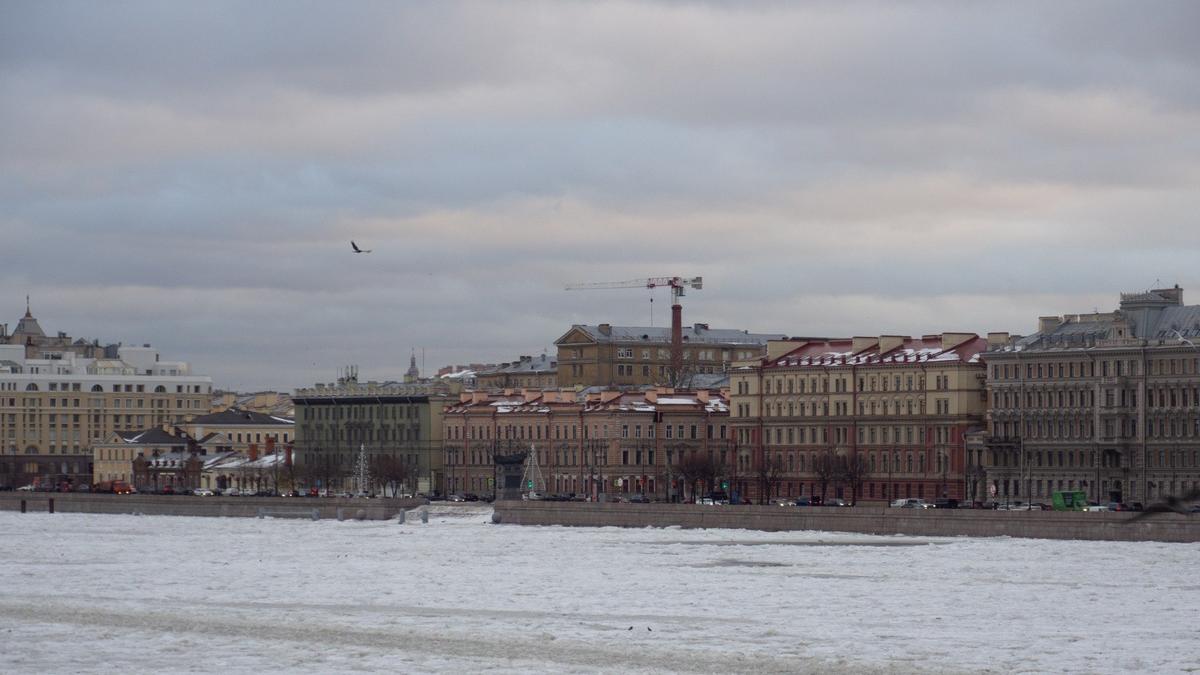 Фото: Дмитрий Абрамов / MR7