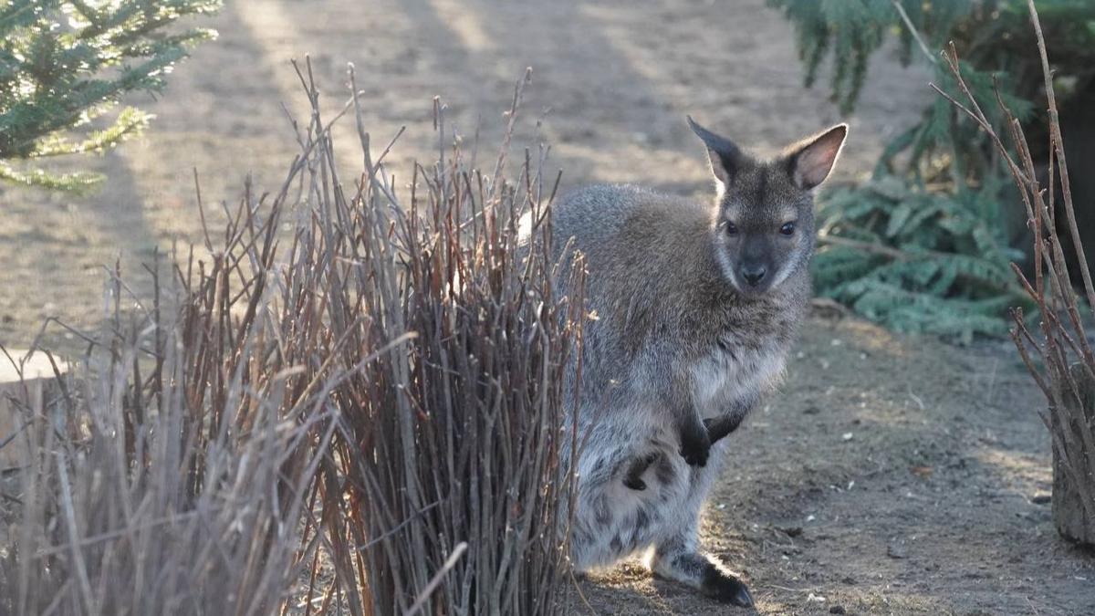 Фото: Павел Борисенко / MР7