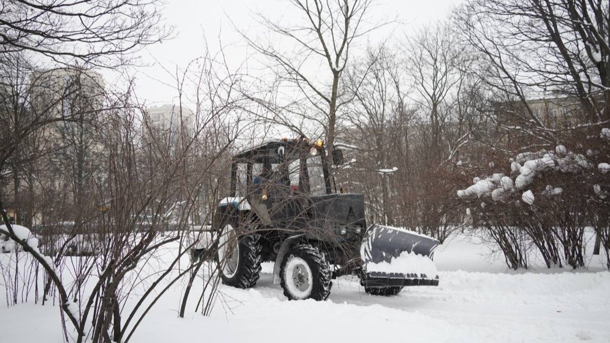 Фото: Павел Борисенко / MR7