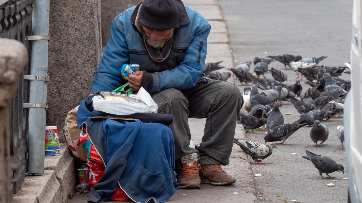 В Петербурге запустили чат-бот помощи бездомным