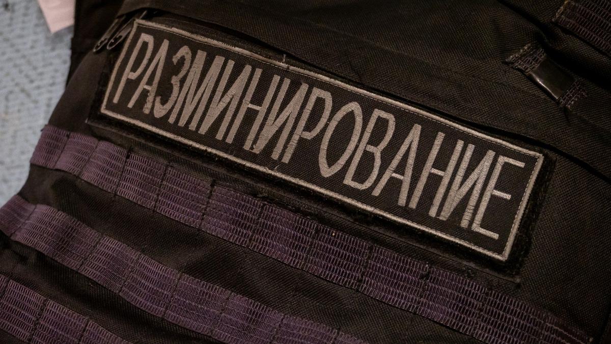 Фото: Олег Золото / МР7