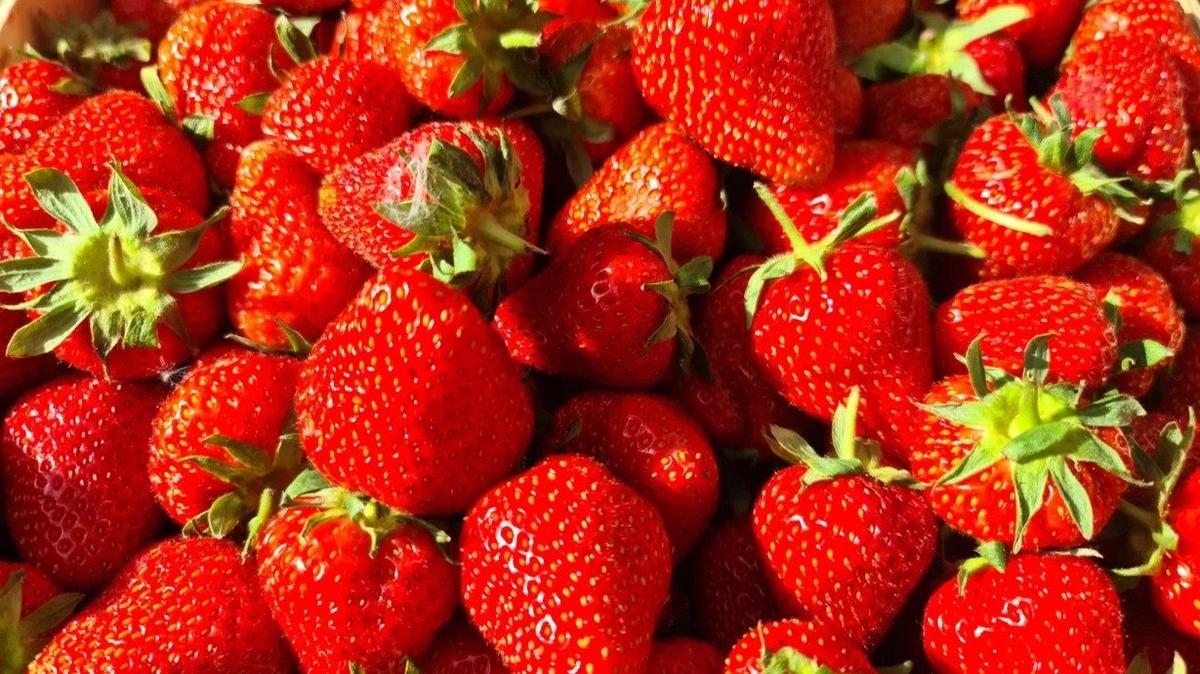 Фото: Олег Золото / MR7