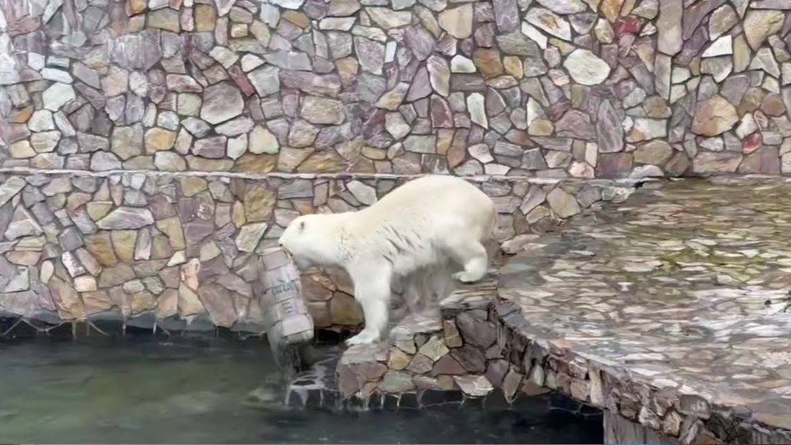 Фото: Ленинградский зоопарк