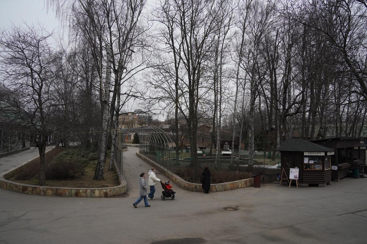 Фото: Павел Борисенко / MР7