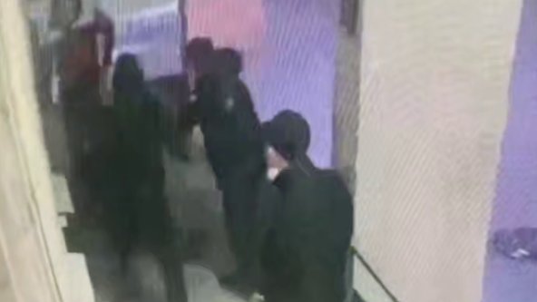 Фото: ГУ МВД РФ по Петербургу и Ленобласти