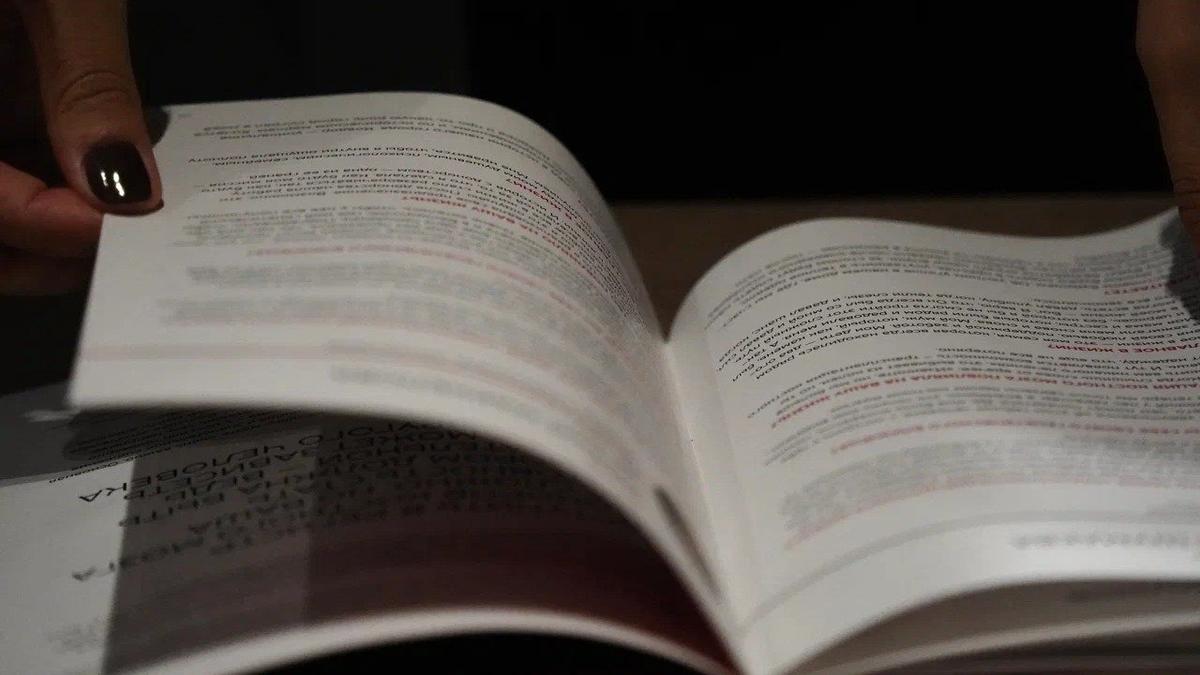 Фото: Павел Борисенко / MR7