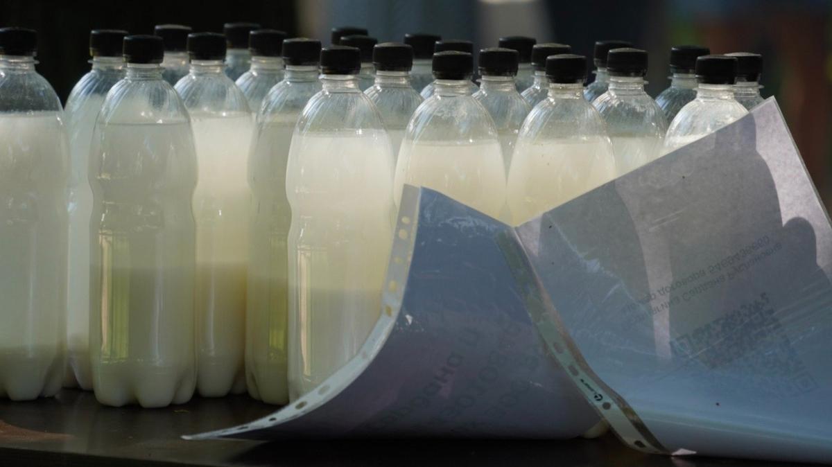 Фото: Павел Борисенко / МР7