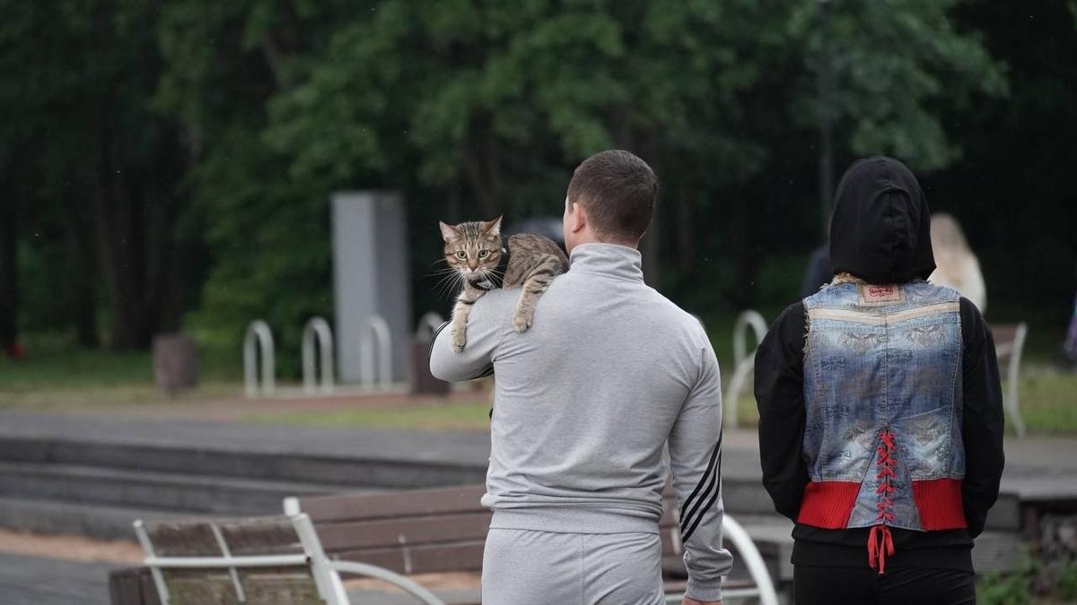Фото: Павел Борисенко / MR7