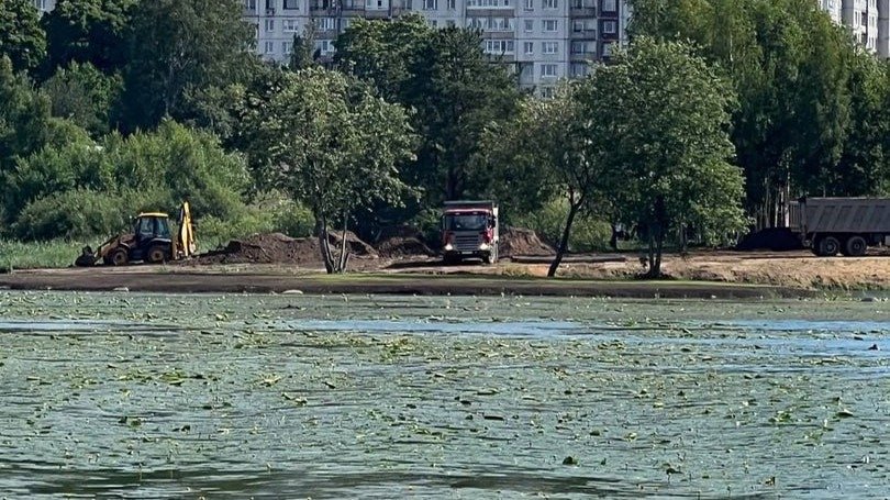 Большое Суздальское превращают в токси-могильник