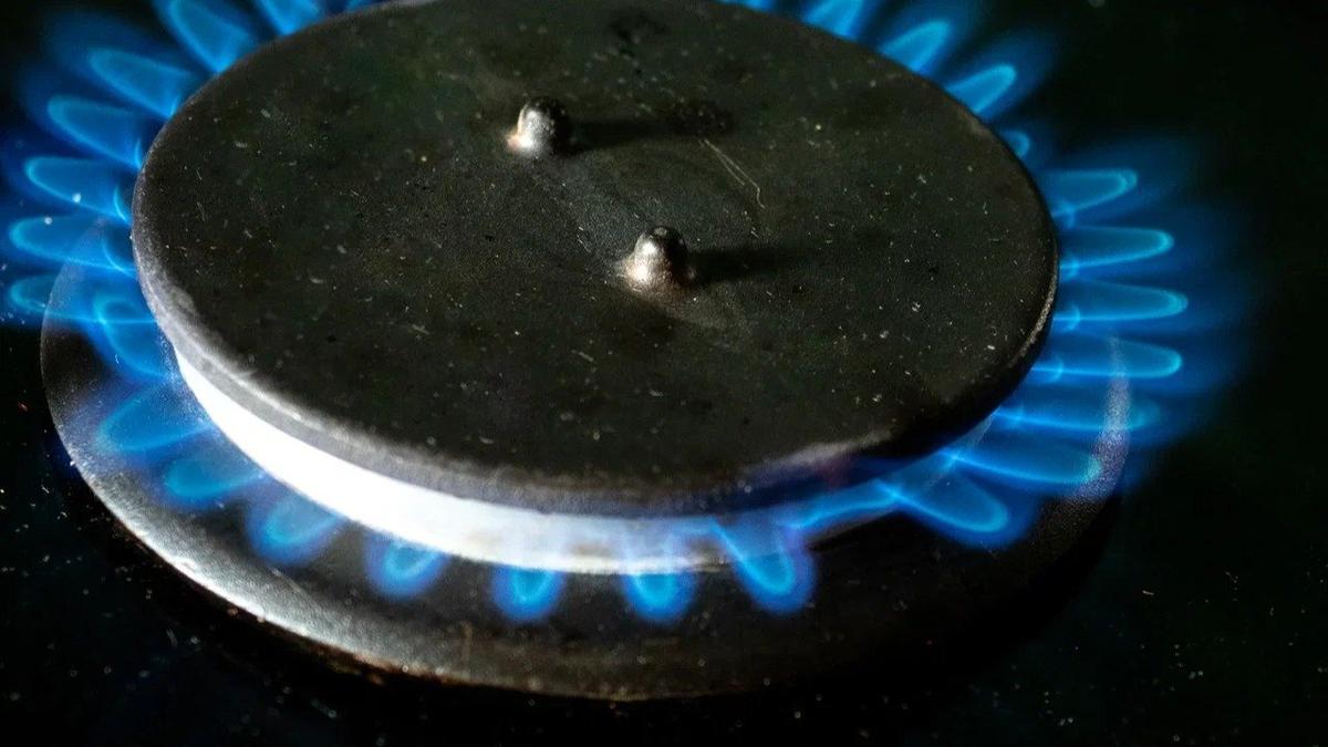 Фото: Олег Золото / MR7