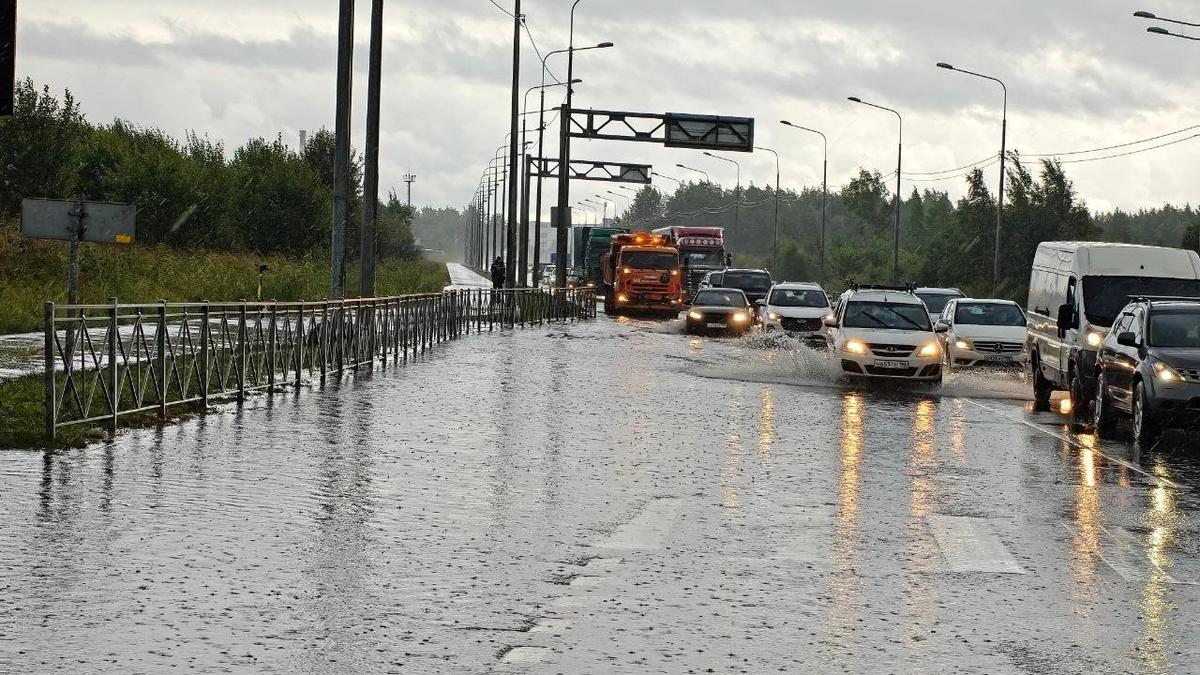 Фото: «Транспортный коллапс, Красное Село»