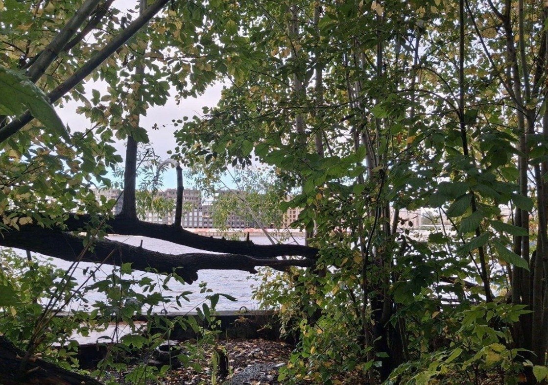 Фото: КГИОП