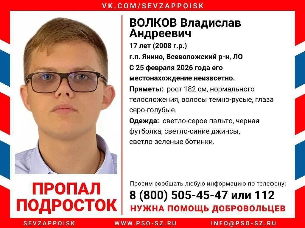 Фото: СУ СК РФ по Ленобласти