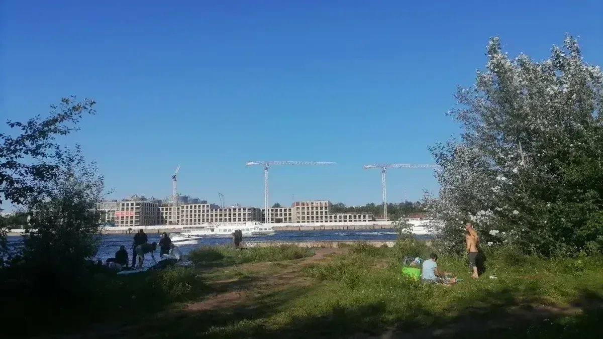 Парк «Заросли», который находится на месте будущей набережной. Фото: MR7