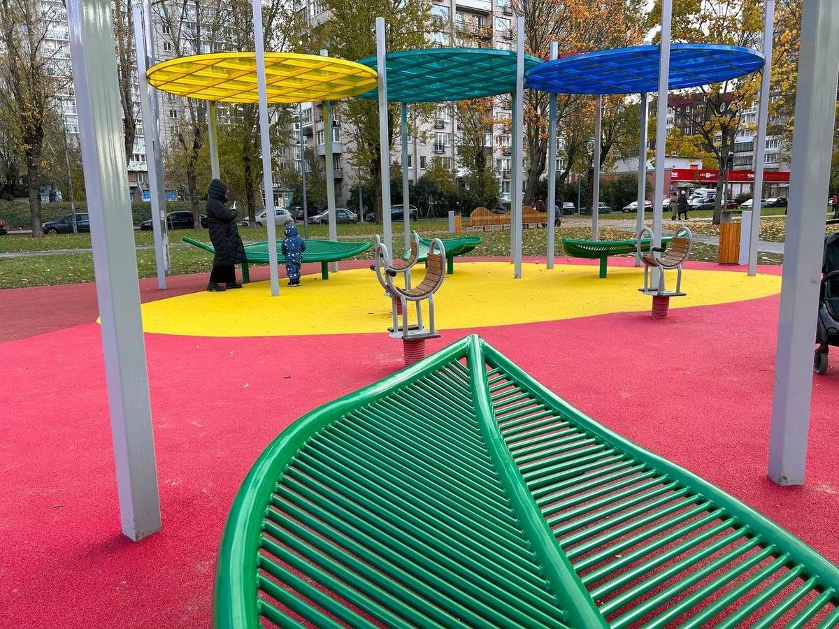 Фото: Дарья Дмитриева / MR7