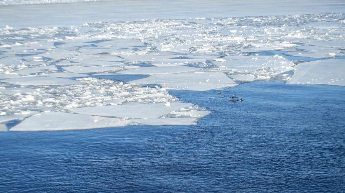 Фото: Дмитрий Абрамов / MR7