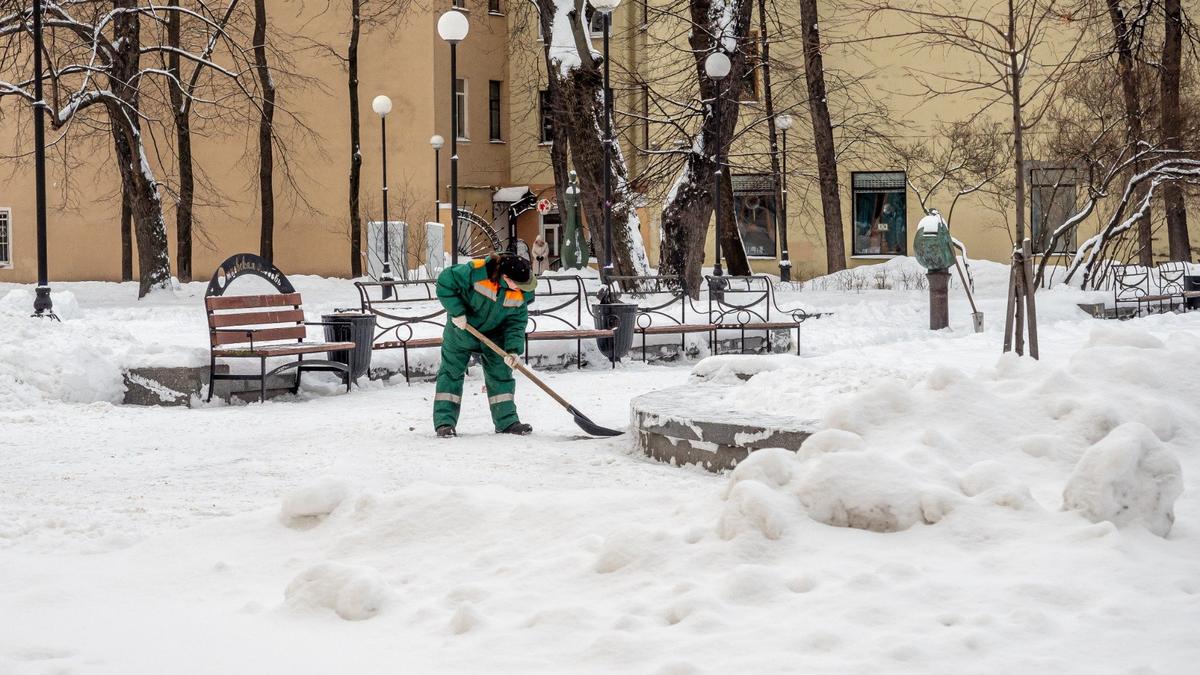 Дворнику из Петербурга вручат миллион рублей за спасение ребёнка