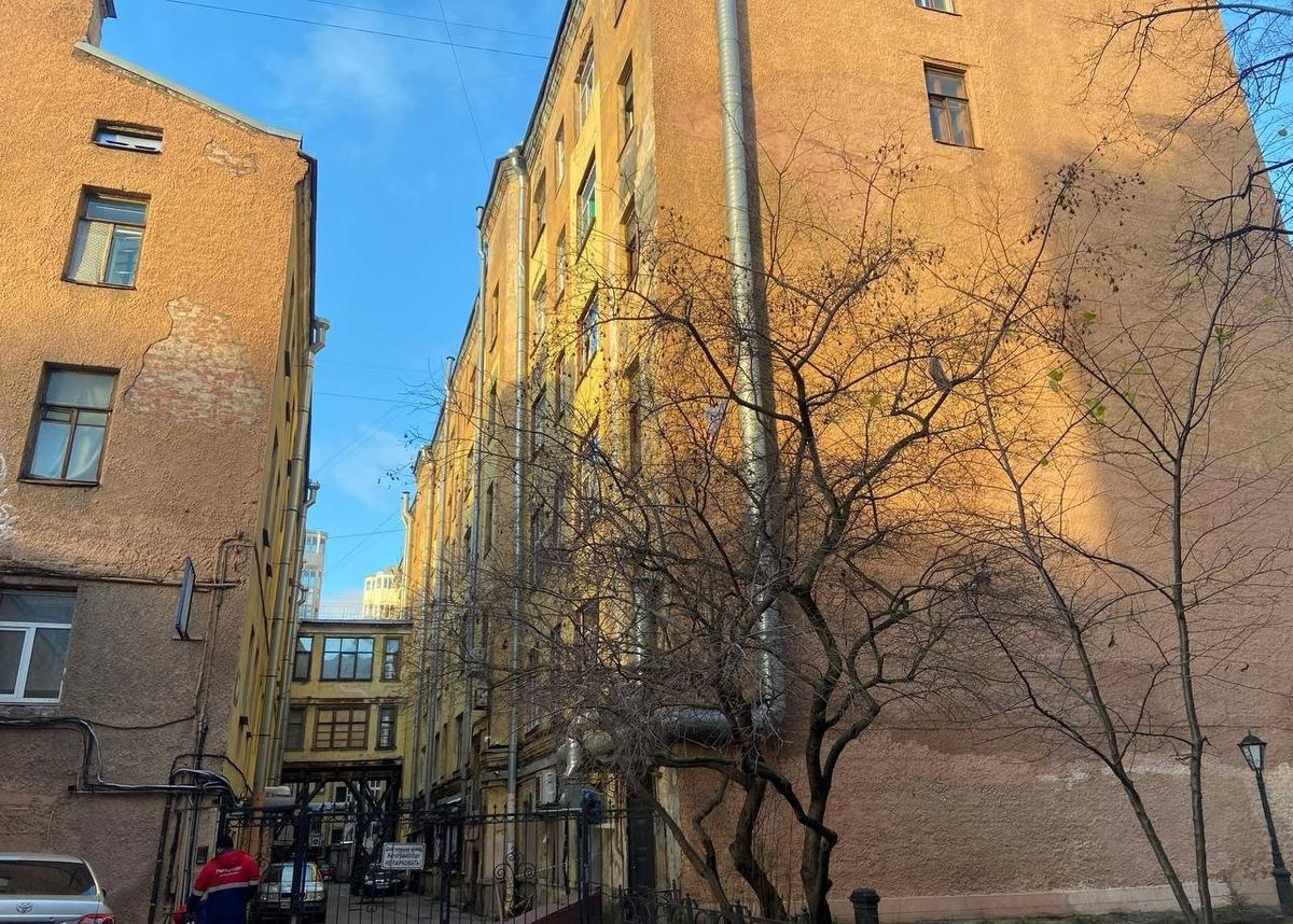 Фото: Валерия Шимаковская / MR7