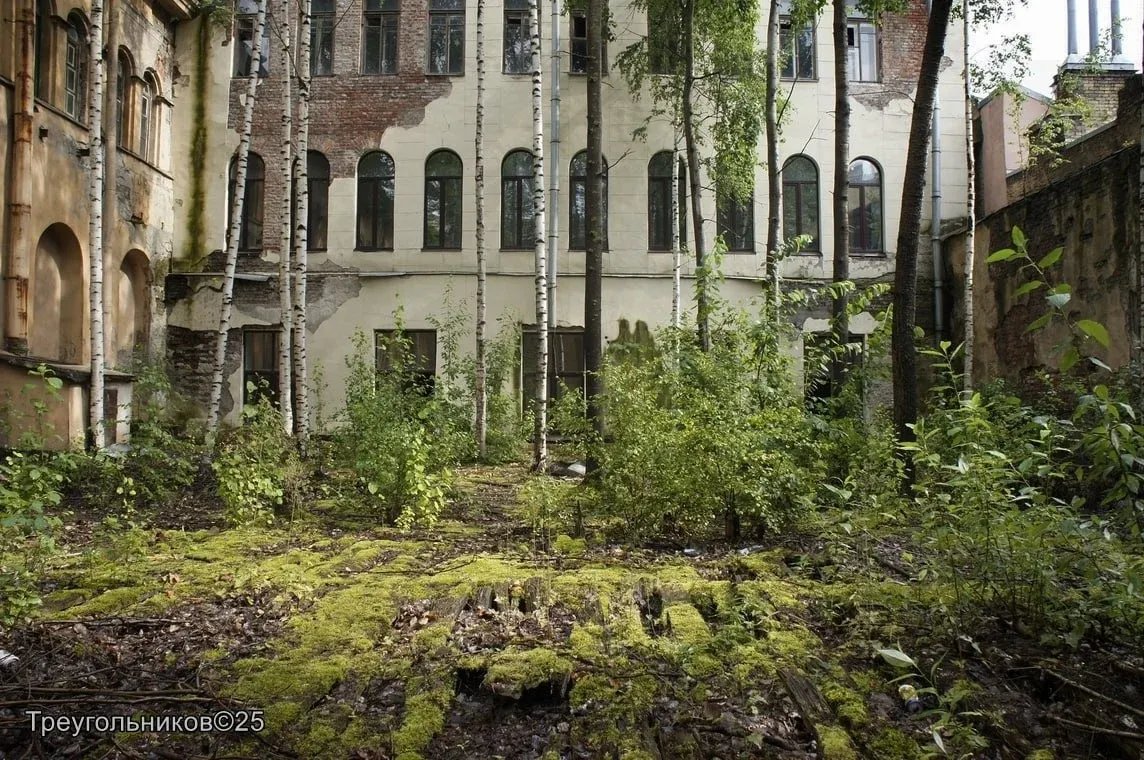Фото: Александр Треугольников