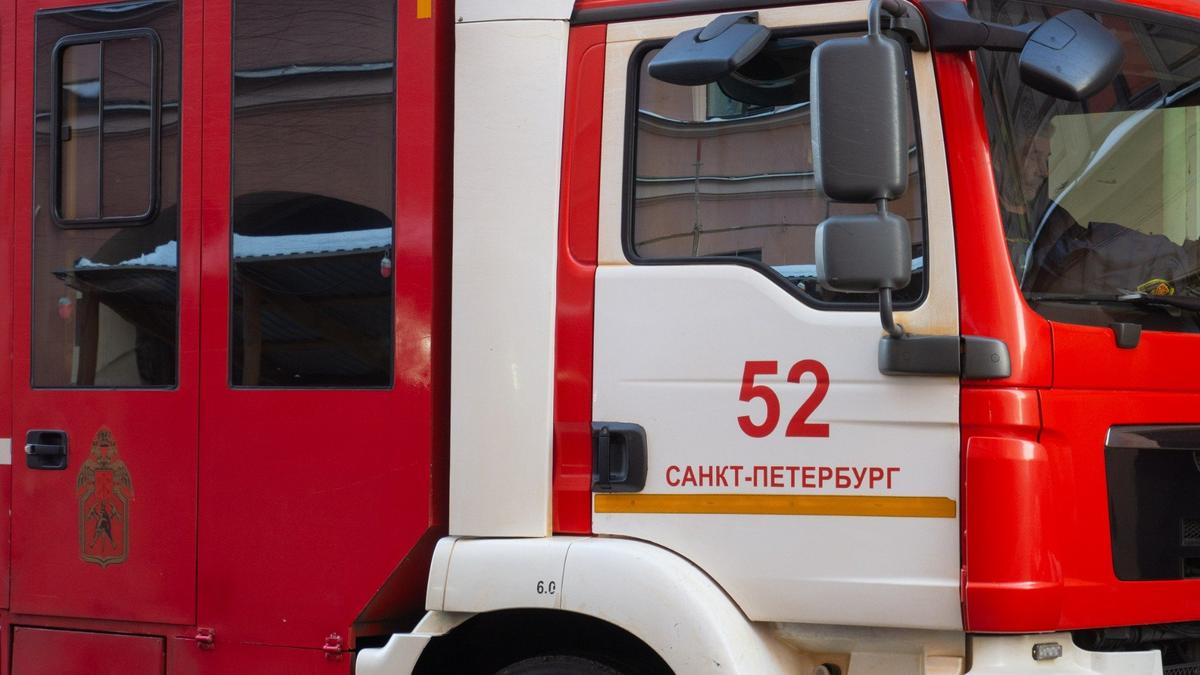 Фото: Дмитрий Абрамов / МР7