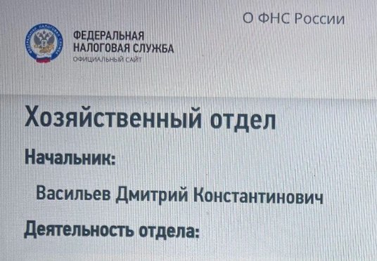 Скриншот с сайта УФНС
