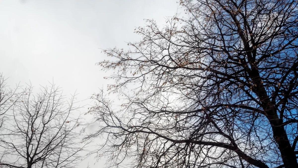 Фото: Олег Золото / МР7