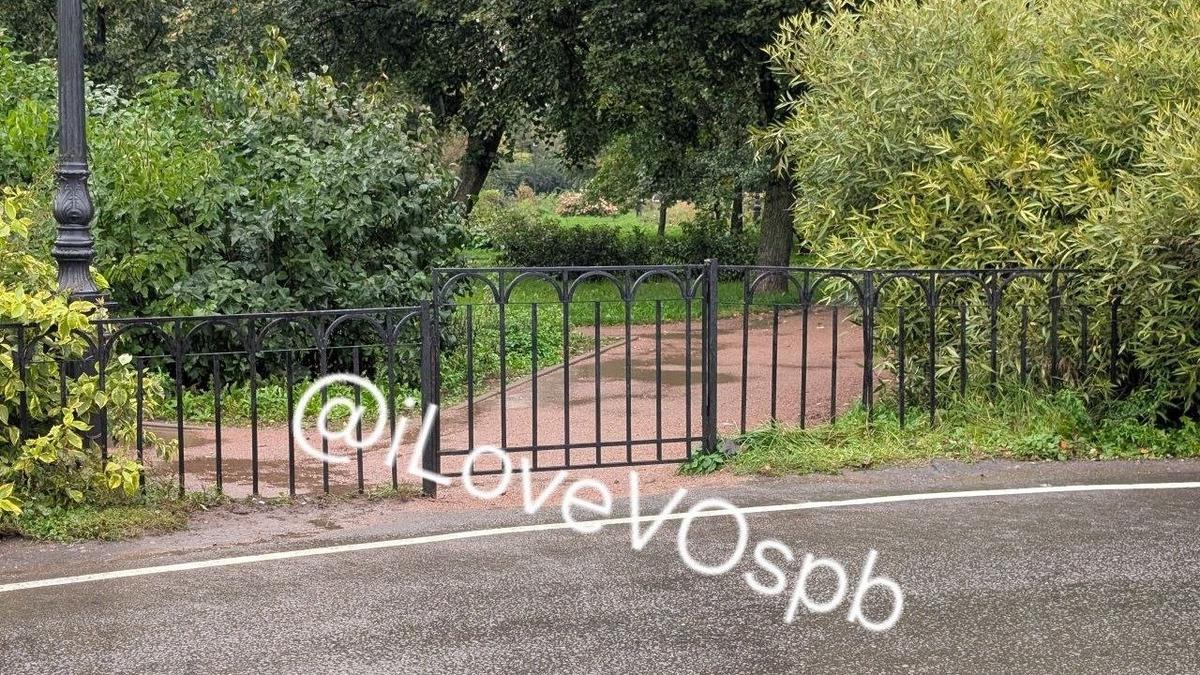 Фото: «Я люблю Васильевский остров»