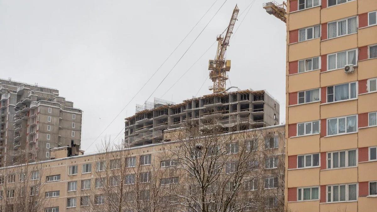 Фото: Олег Золото / MR7