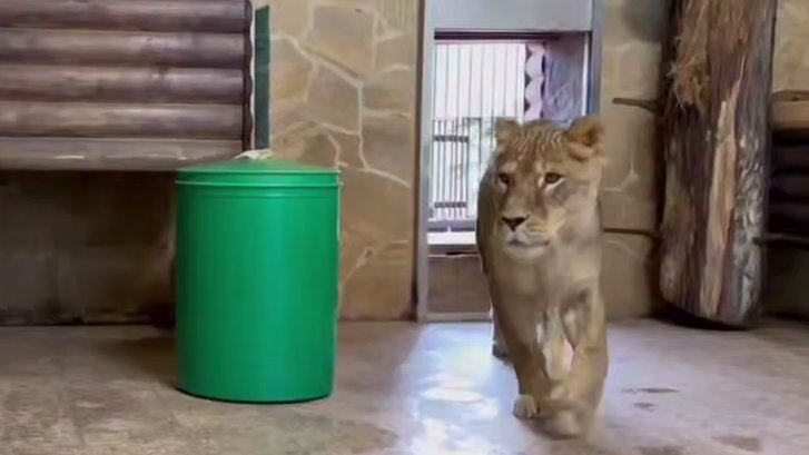 Скриншот видео: Ленинградский зоопарк