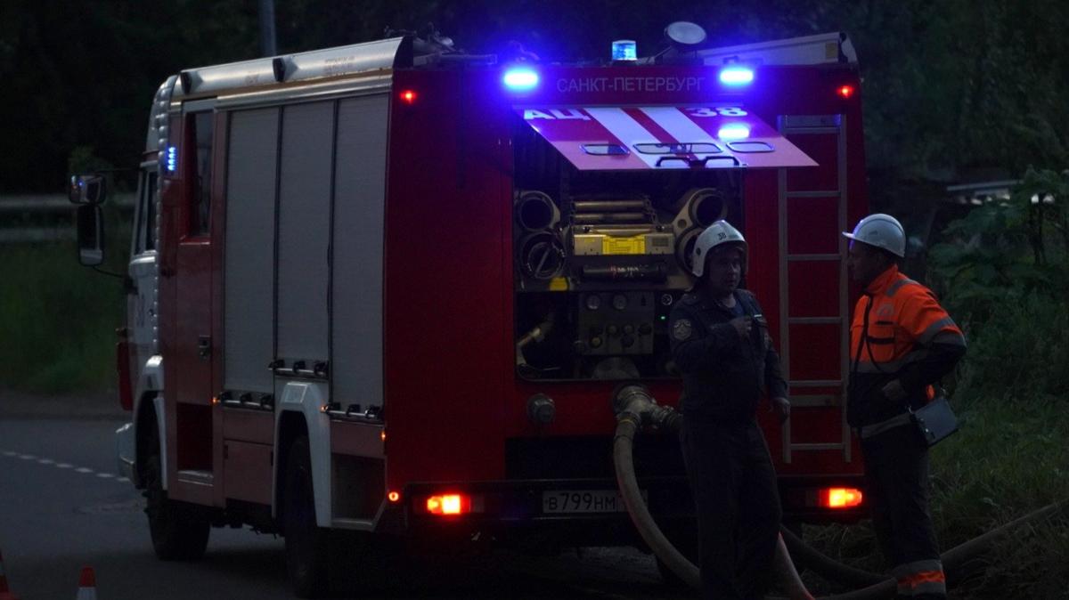 Фото: Павел Борисенко / MR7