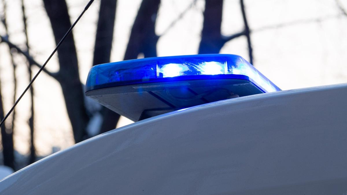 Фото: Дмитрий Абрамов / MR7