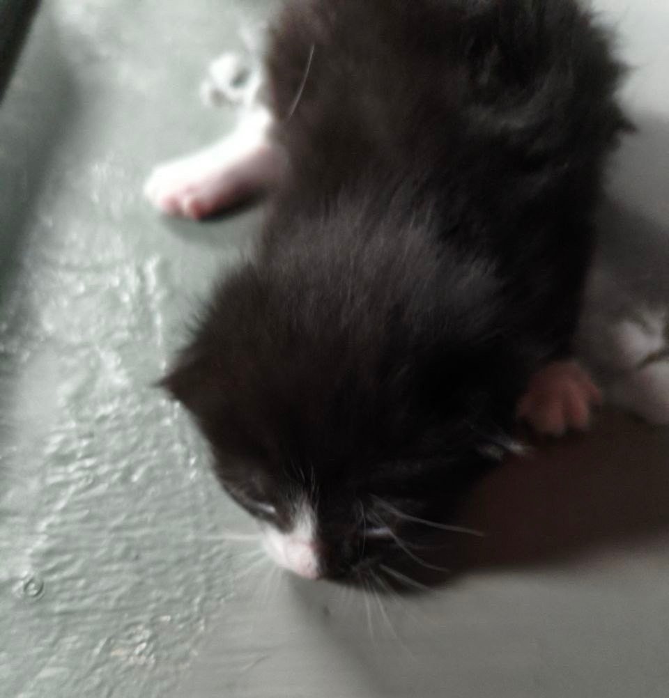 Фото: комитет по контролю за имуществом