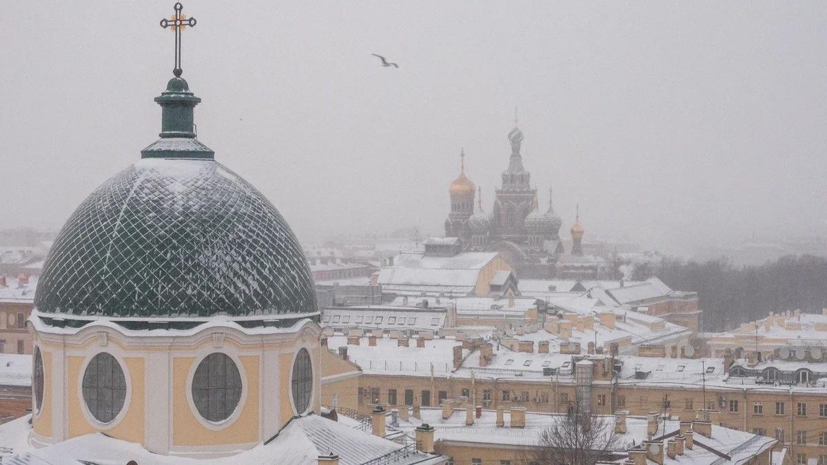 Фото: Олег Золото / MR7