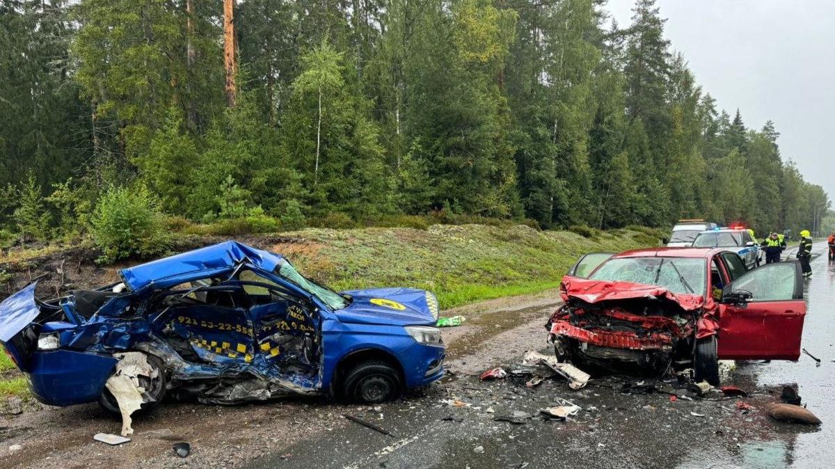 Фото: ГУ МВД России по Петербургу и Ленобласти