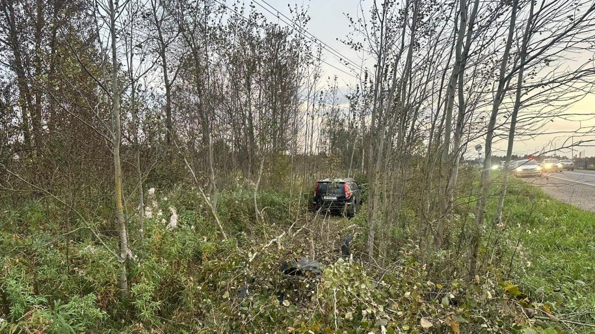 Фото: ГУ МВД по Петербургу и Ленобласти