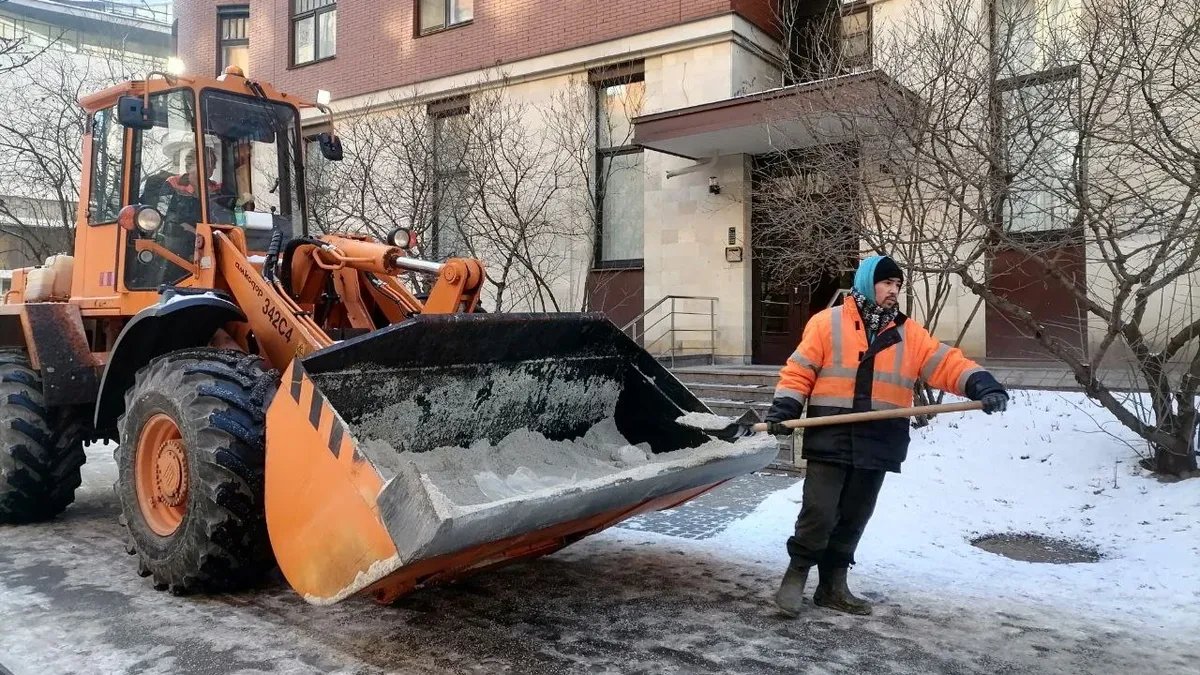 Фото: Елена Михина / MR7