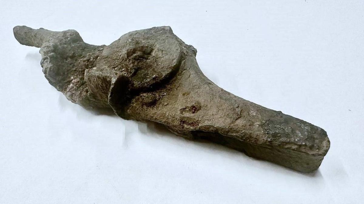 Фото: администрация Ленобласти