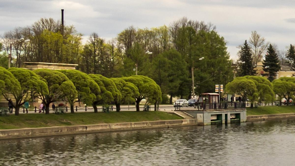 Фото: Wikipedia.org