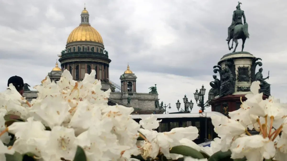 Фото: Комитет по благоустройству Петербурга