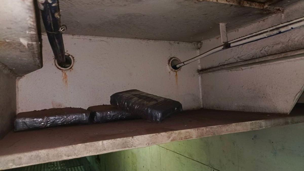 Фото:  пресс-служба Северо-Западного таможенного управления