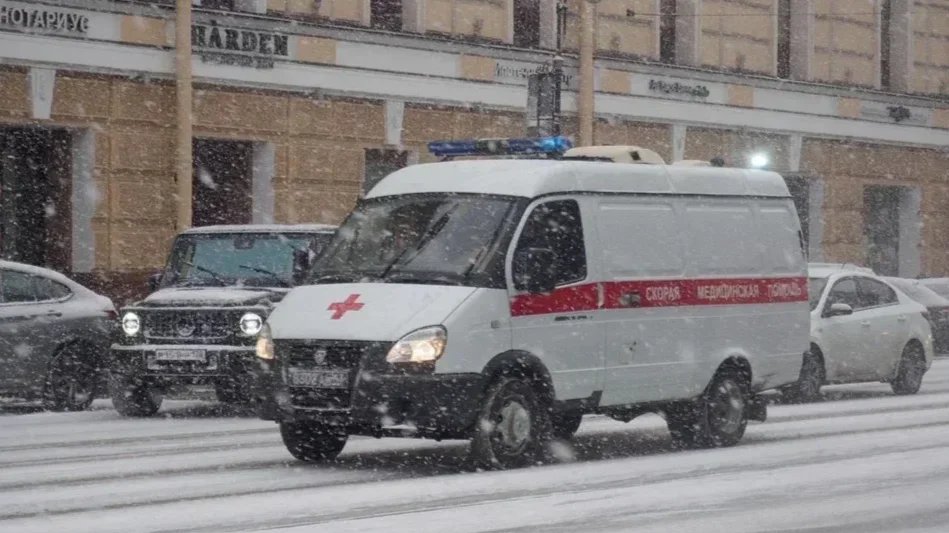 Мать и дочь нашли без сознания в квартире на Большой Разночинной после праздничного ужина