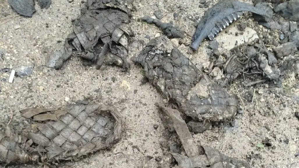 Фото: Леноблводоканал