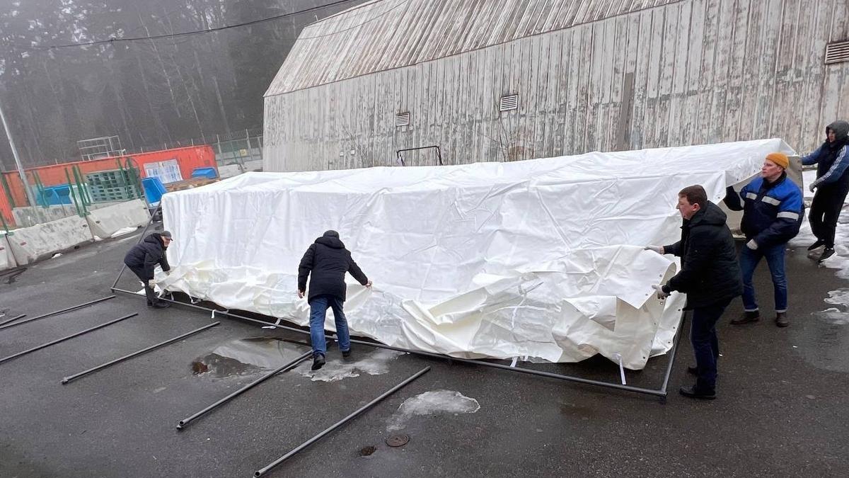 Фото: Фонд друзей балтийской нерпы